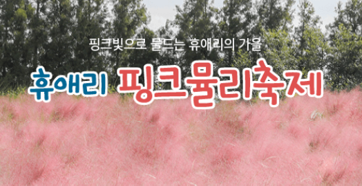 휴애리-핑크뮬리축제-포스터