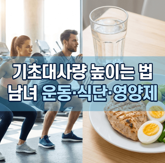 기초대사량 높이는 방법 남녀 운동 식단 정리