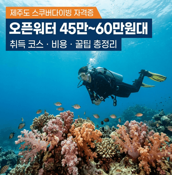 제주도 스쿠버다이빙 자격증 코스 및 비용 가이드