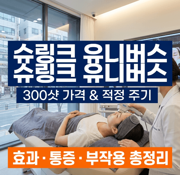 슈링크 유니버스 가격 효과 및 주기 총정리